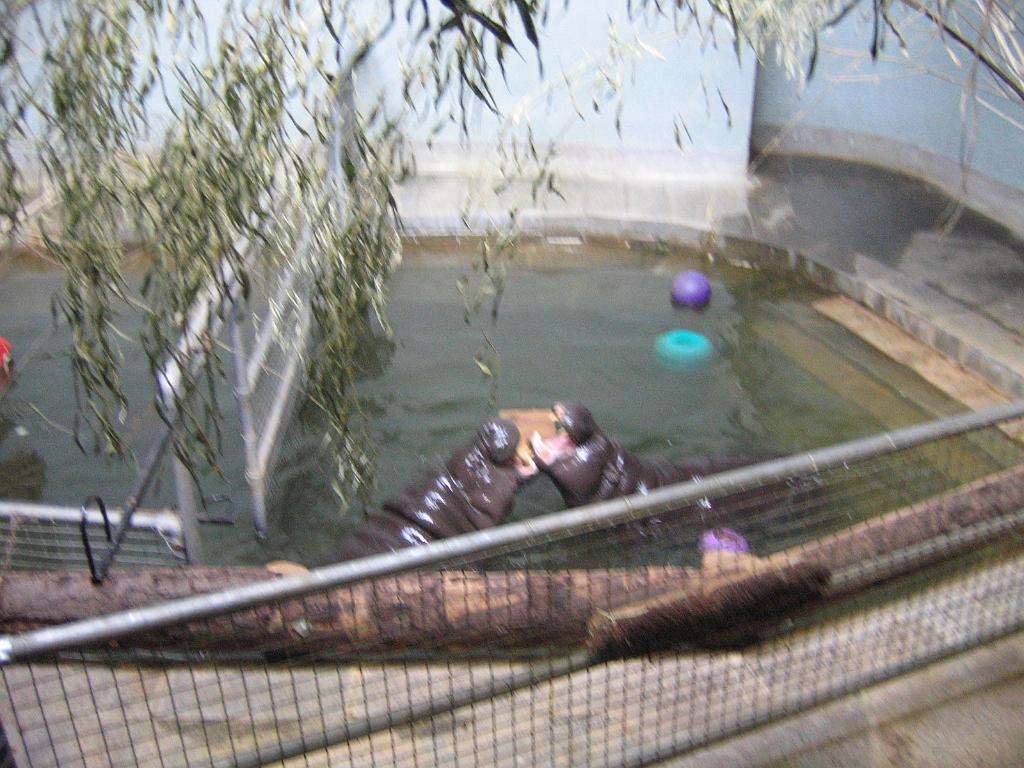 2006-04-15,_London_Zoo_052.jpg